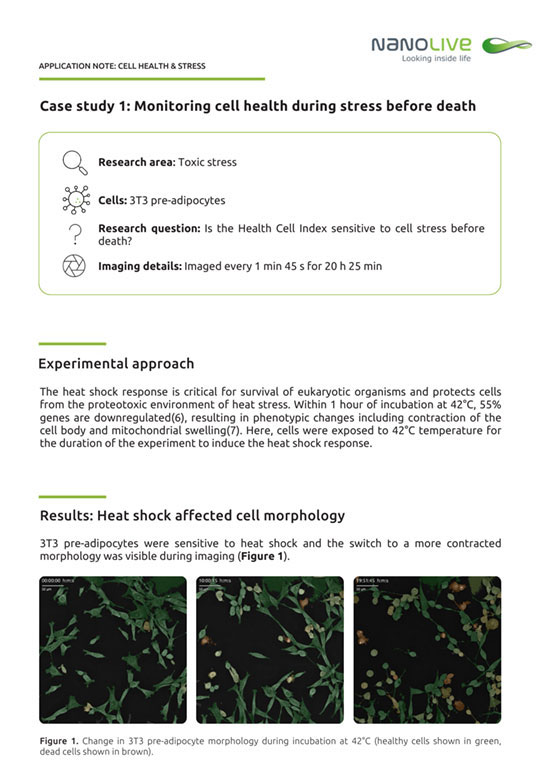 Phenotypic Cell Health and Stress Application Note preview