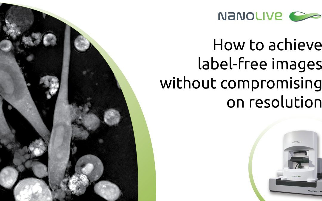 How to achieve label-free images without compromising on resolution?
