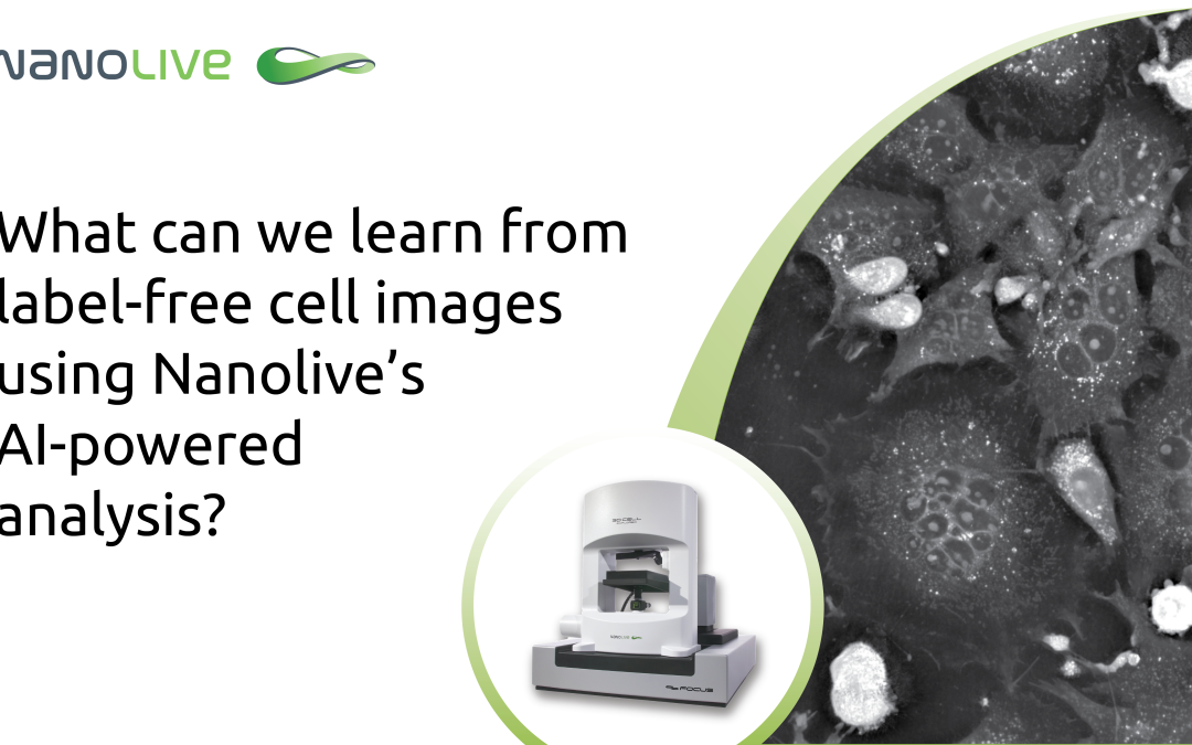 What can we learn from label-free cell images using Nanolive’s AI-powered analysis?