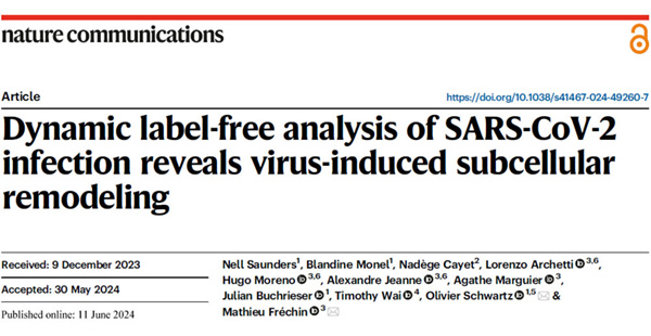 Dynamic label-free analysis of SARS-CoV-2 infection reveals virus-induced subcellular remodeling
